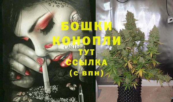 трава Балахна