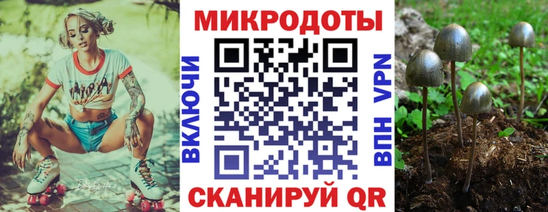 Галлюциногенные грибы Cubensis Куса