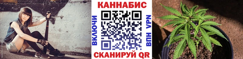 Шишки марихуана план  Куса 